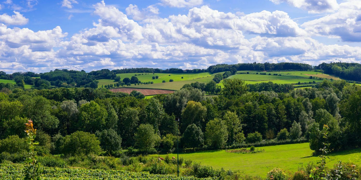 Bourgondisch Genieten in Zuid-Limburg - 50pluskrant